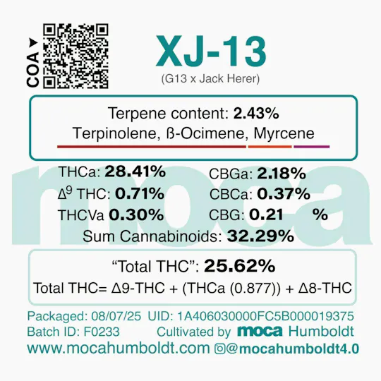 MOCA Humboldt - MOCA Flowers - 1/8th Mylar Bag - XJ-13 - 1