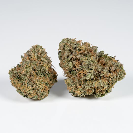 L.A. FAMILY FARMS - TROPICAL Z - 3.5g - 1