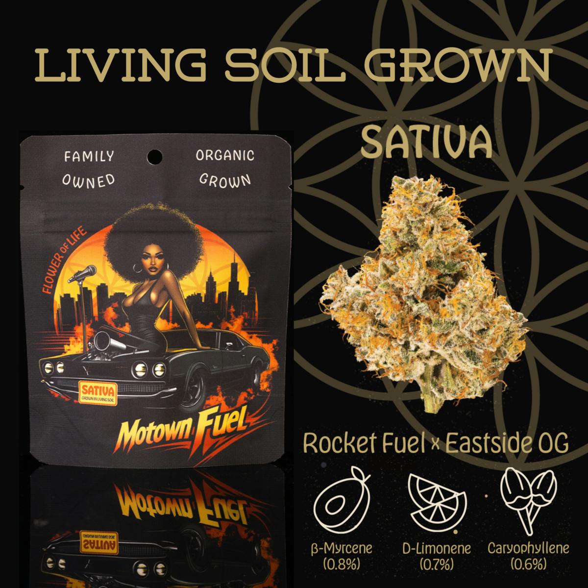 Flower of Life - Motown Fuel | Flower | 3.5g - 1