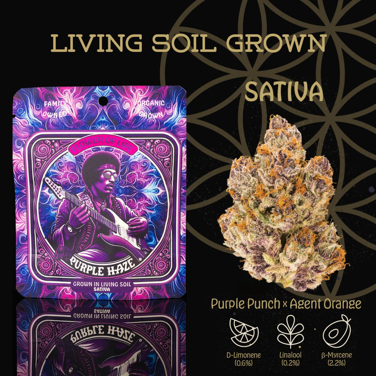 Flower of Life - Purple Haze | Flower | 3.5g - 1