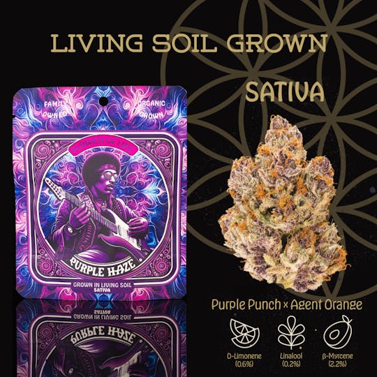 Flower of Life - Purple Haze | Flower | 3.5g - 1