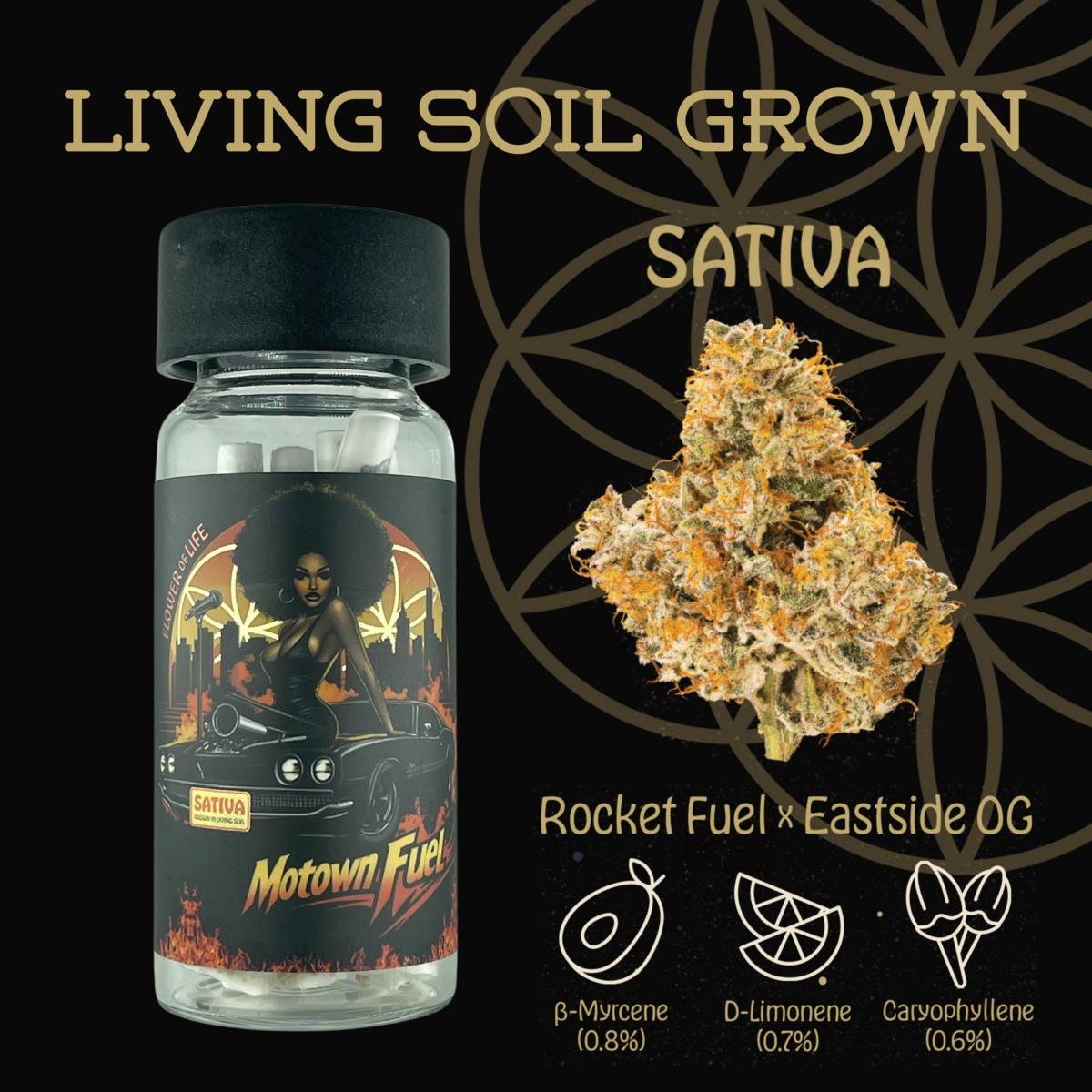 Flower of Life - Motown Fuel | Preroll | Multipack | 2.5g - 1