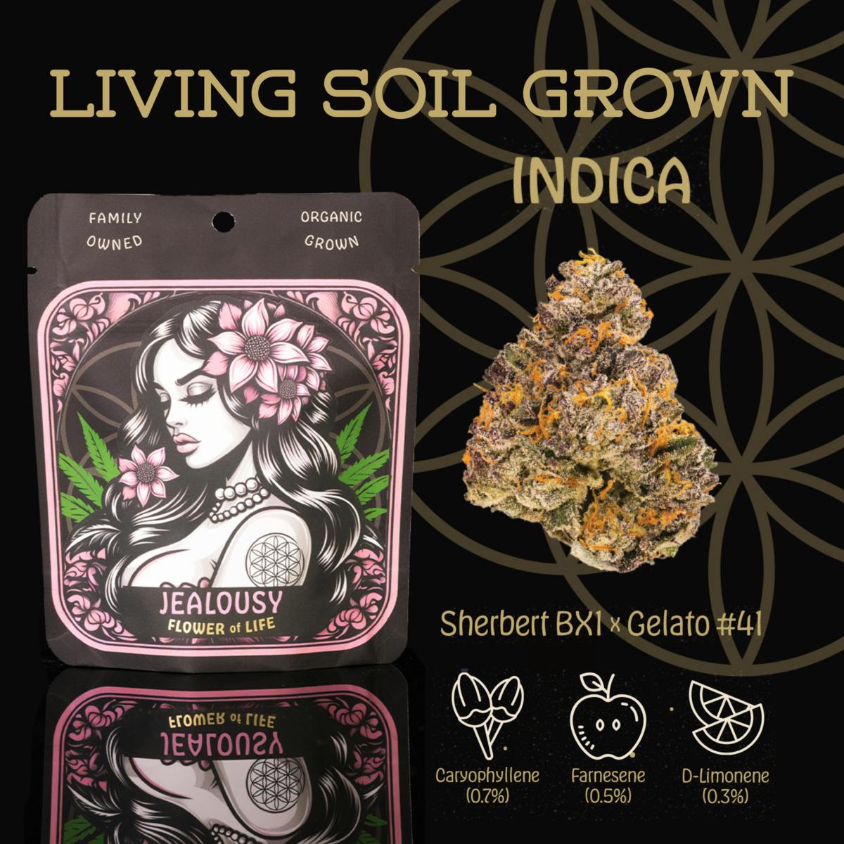 Flower of Life - Jealousy | Flower | Deli - 1