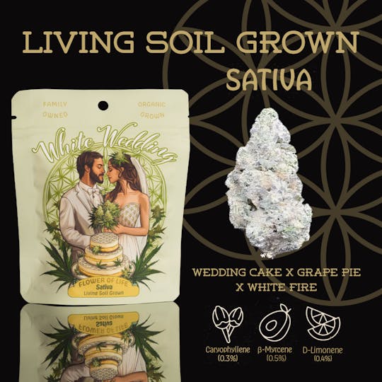 Flower of Life - White Wedding | Flower | Deli - 1