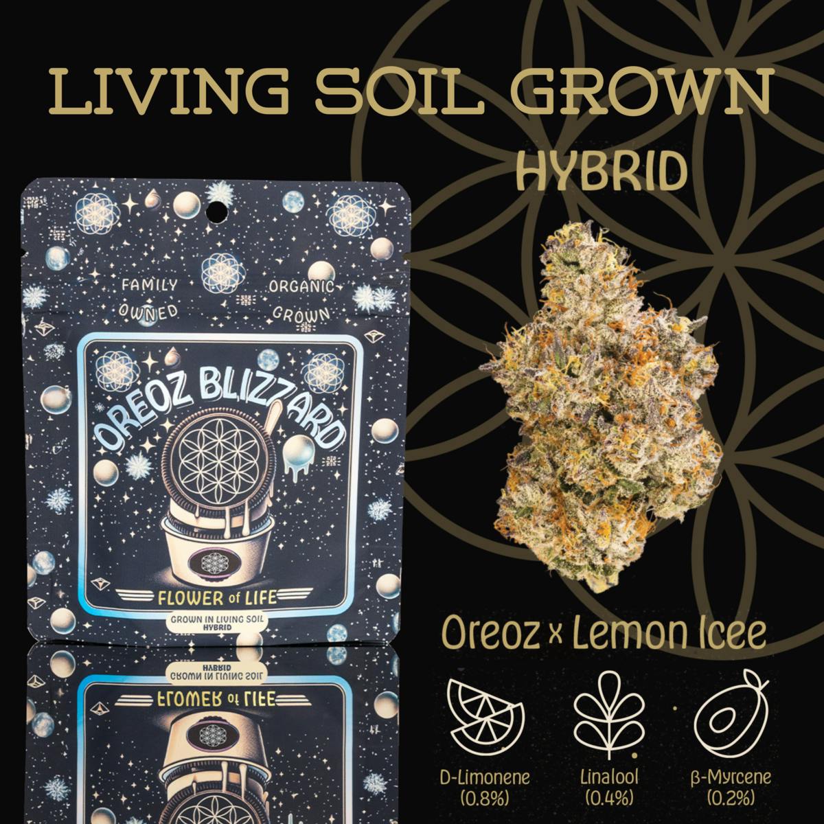Flower of Life - Oreoz Blizzard | Flower | Deli - 1