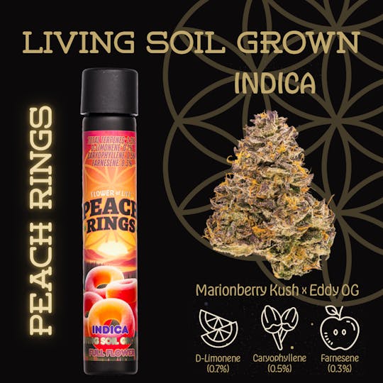 Flower of Life - Peach Rings | Preroll | 1g - 1