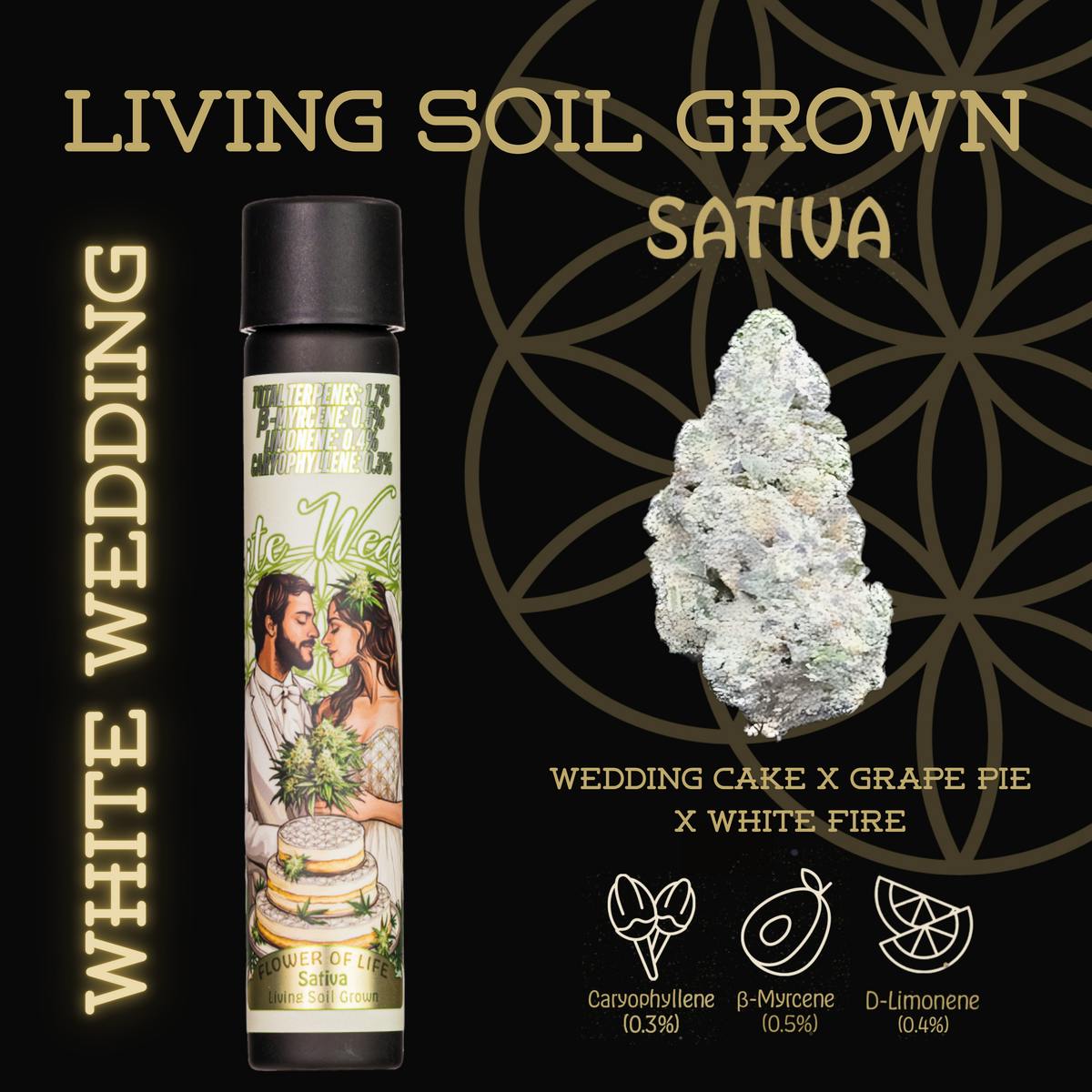 Flower of Life - White Wedding | Preroll | 1g - 1