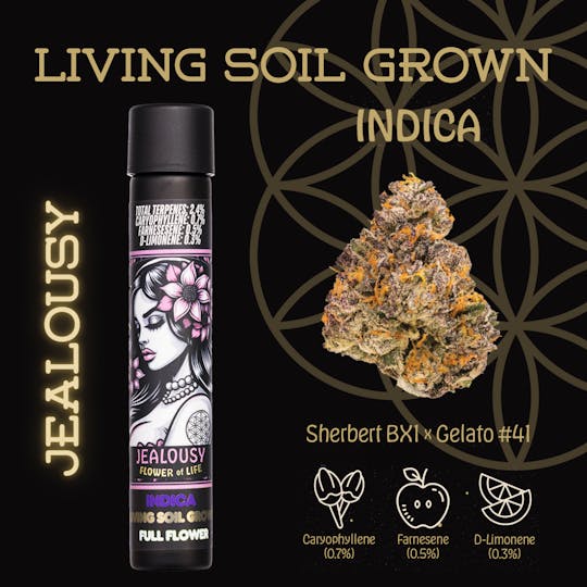 Flower of Life - Jealousy | Preroll | 1g - 1