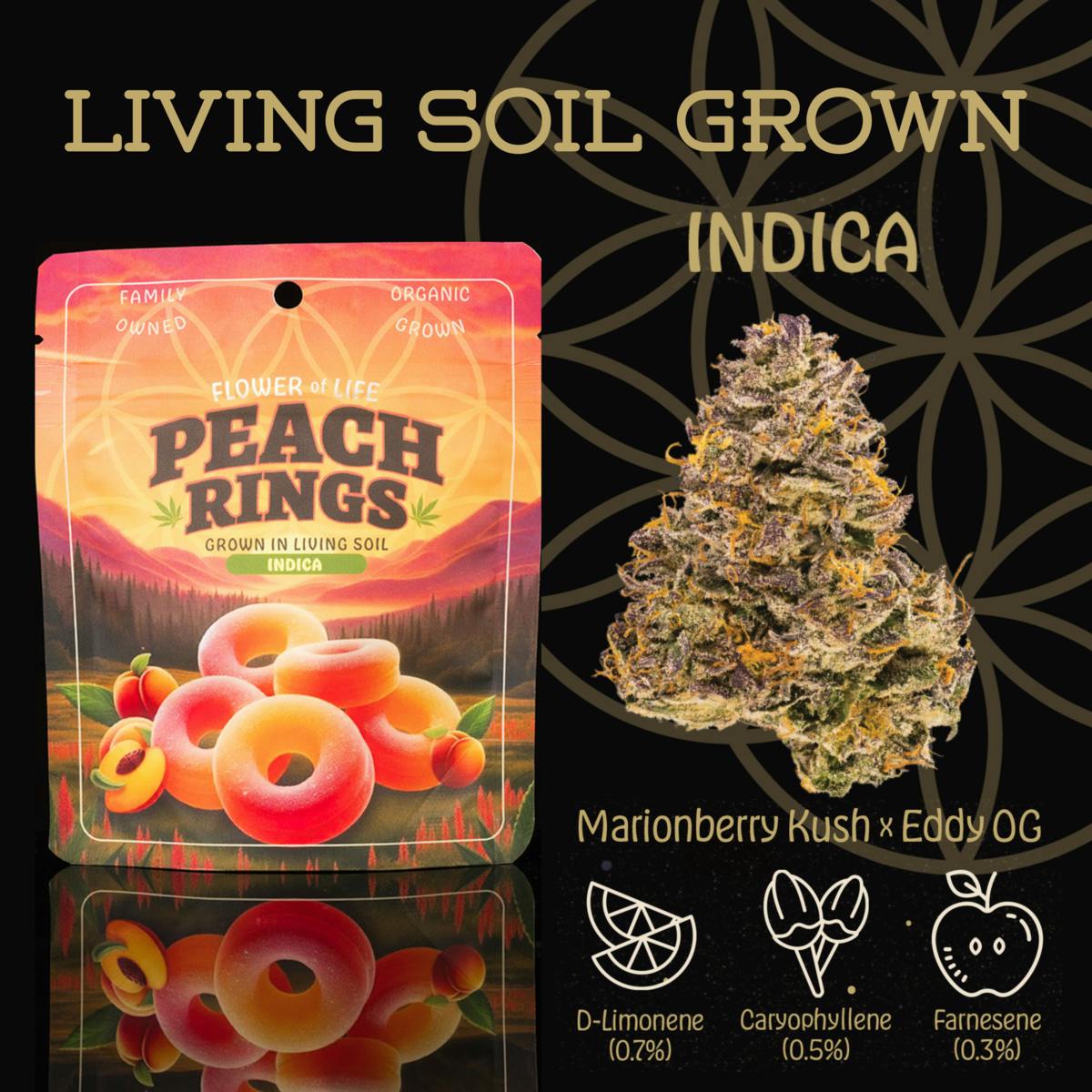 Flower of Life - Peach Rings | Flower | Deli - 1
