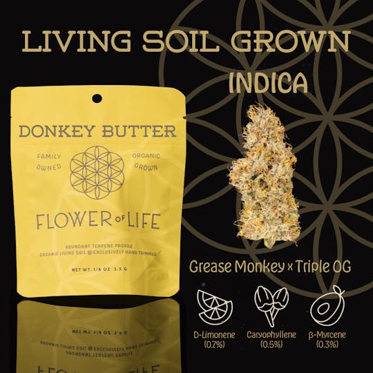 Flower of Life - Donkey Butter | Flower | Deli - 1