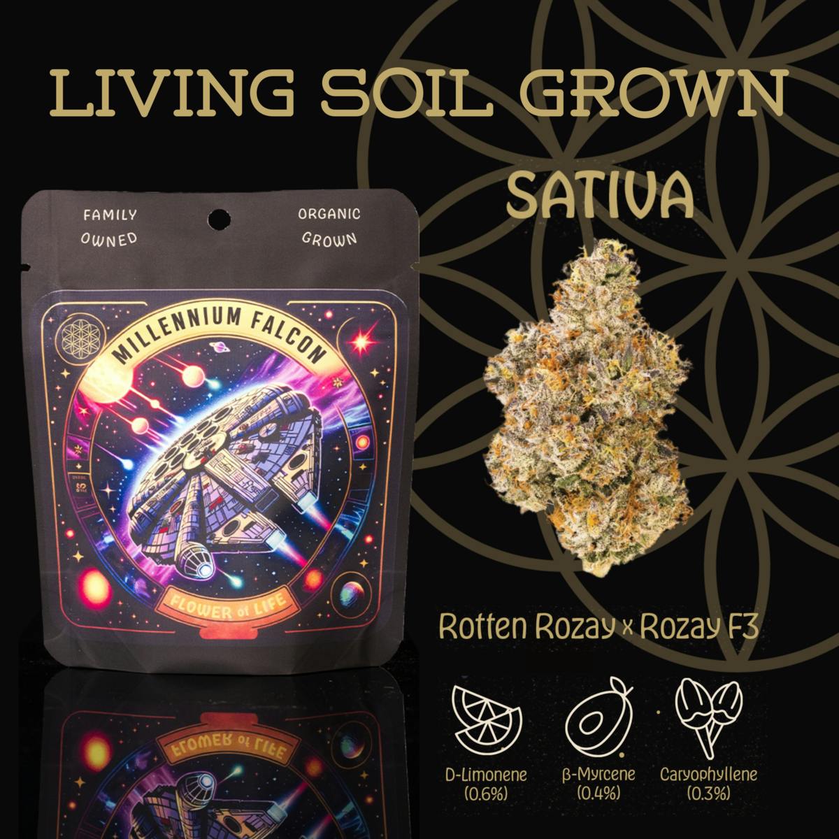 Flower of Life - Millennium Falcon | Flower | 3.5g - 1