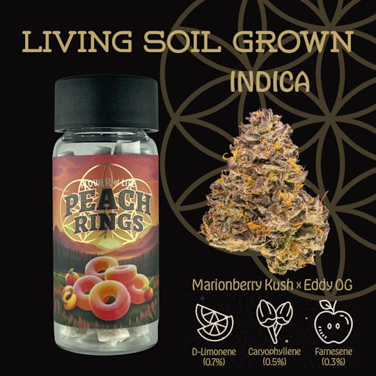 Flower of Life - Peach Rings | Preroll | Multipack | 2.5g - 1