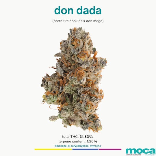 MOCA Humboldt - MOCA Flowers - 1/8th Jar - Don Dada - 1