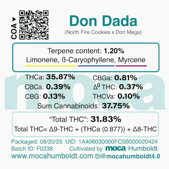 MOCA Humboldt - MOCA Flowers - 1/8th Jar - Don Dada - 1