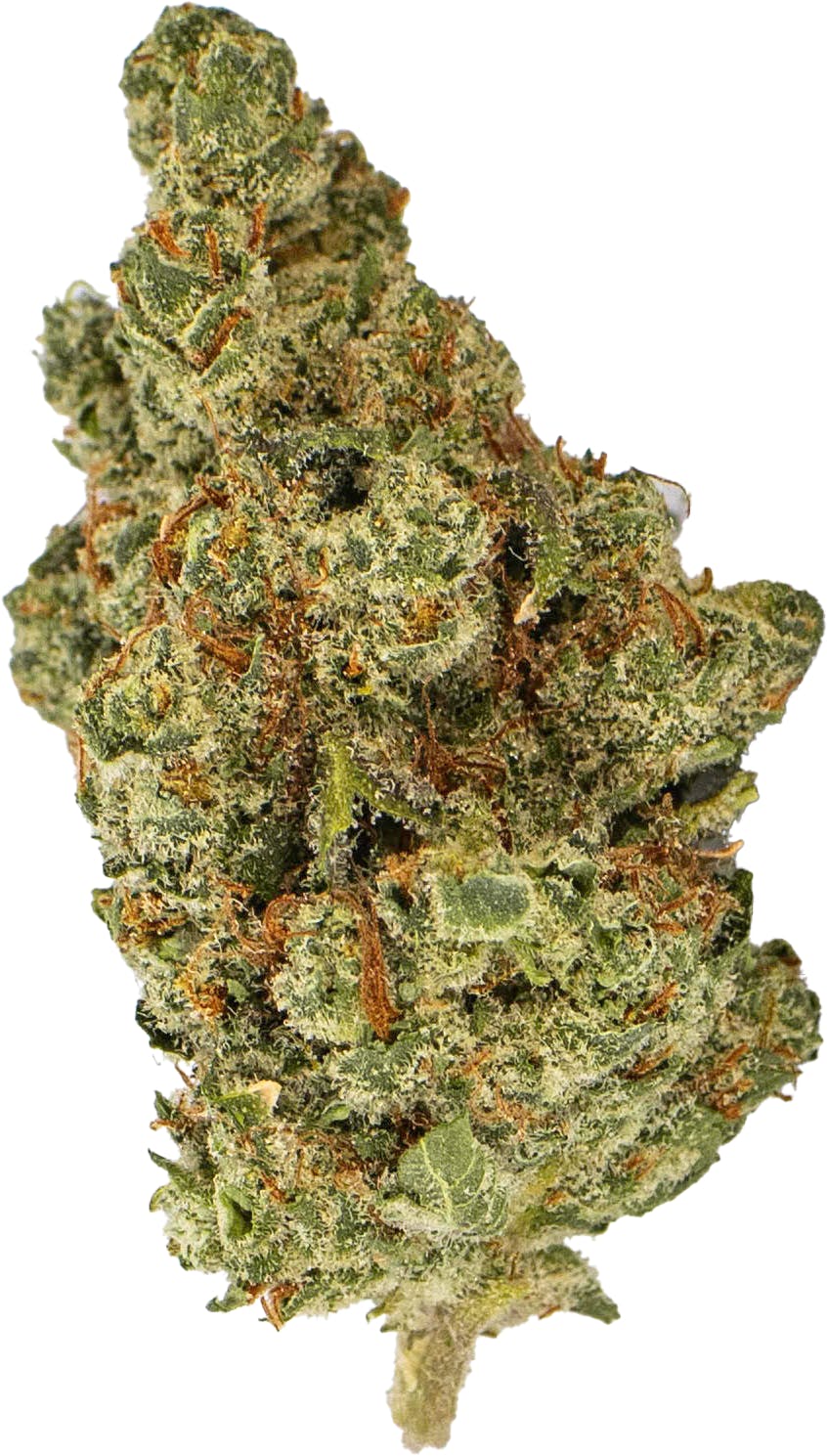 High Life Farms - MI - High Life Farms Cookie Crasher Prepackaged 3.5g - 1