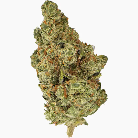 High Life Farms - MI - High Life Farms Cookie Crasher Prepackaged 3.5g - 1