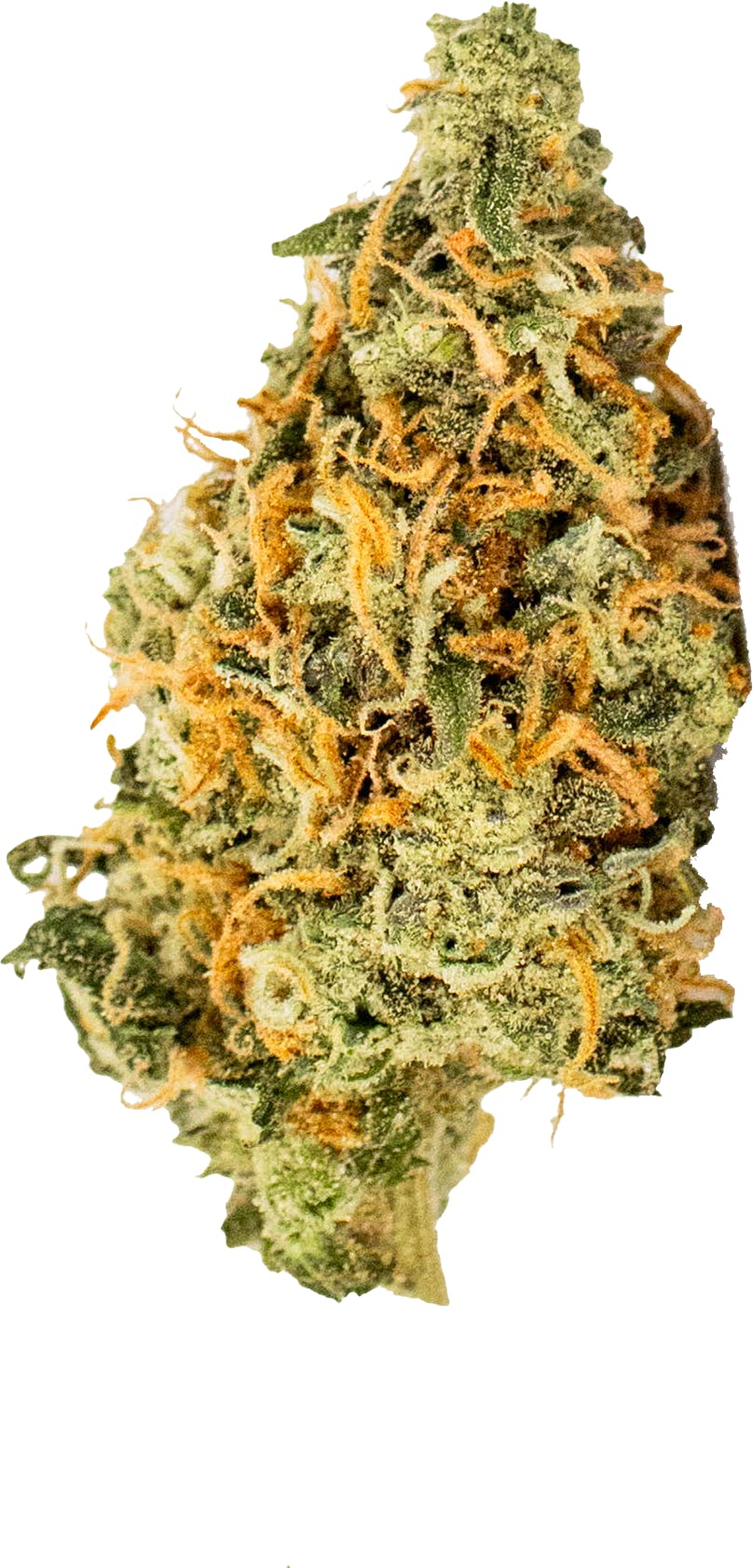 High Life Farms - MI - High Life Farms Papaya Juice Prepackaged 3.5g - 1