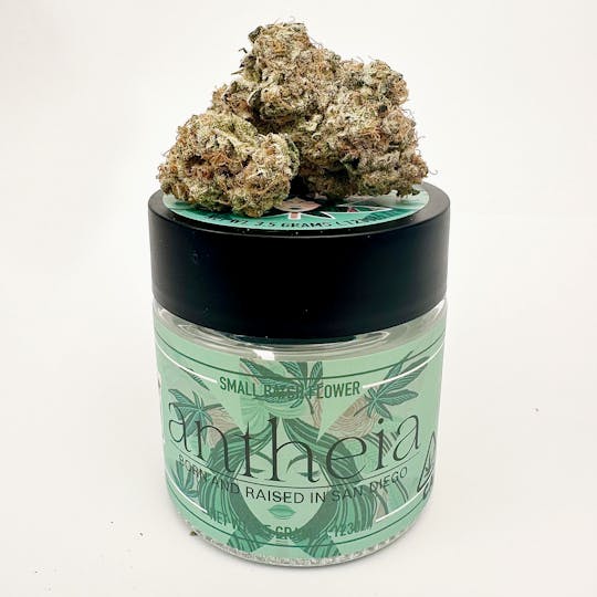 Antheia - MR FROSTY 1602 (I) 3.5G - 1