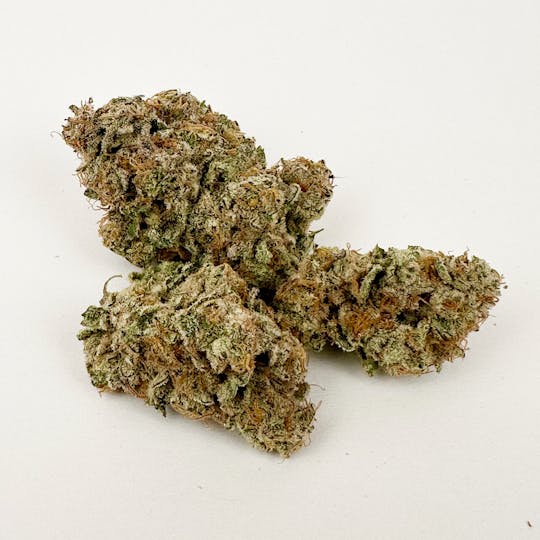 Antheia - MR FROSTY 1602 (I) 7G - 1