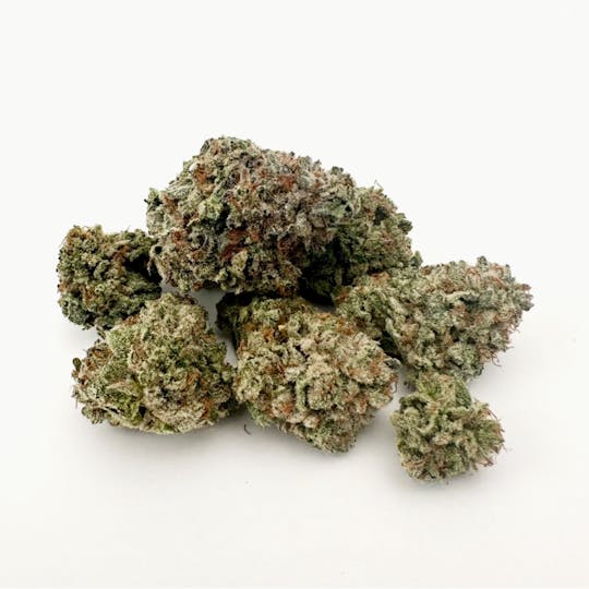 Antheia - SPRUCE STREET BRIDGE 1904 (H) 3.5G - 1