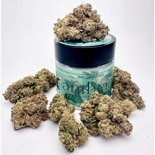 Antheia - BLACK'S BEACH 1210 (H) 7G - 1