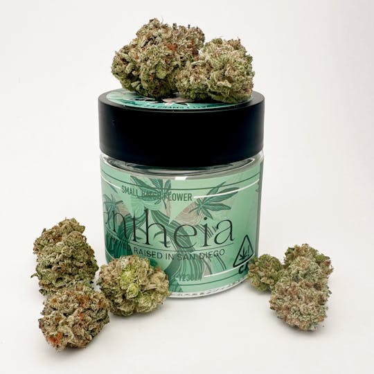 Antheia - SPRUCE STREET BRIDGE 1904 (H) 7G - 1