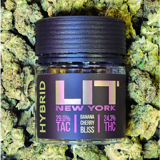 LIT New York - Banana Cherry Bliss 3.5G - 1