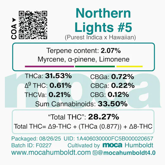 MOCA Humboldt - MOCA Flowers - 1/8th Mylar Bag - Northern Lights #5 - 1