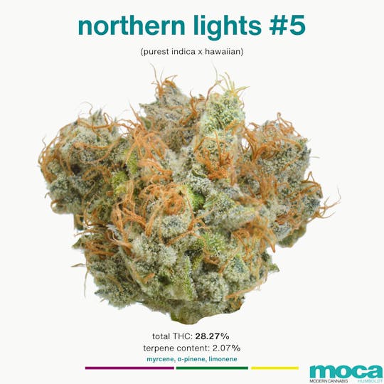 MOCA Humboldt - MOCA Flowers - 1/8th Jar - Northern Lights #5 - 1
