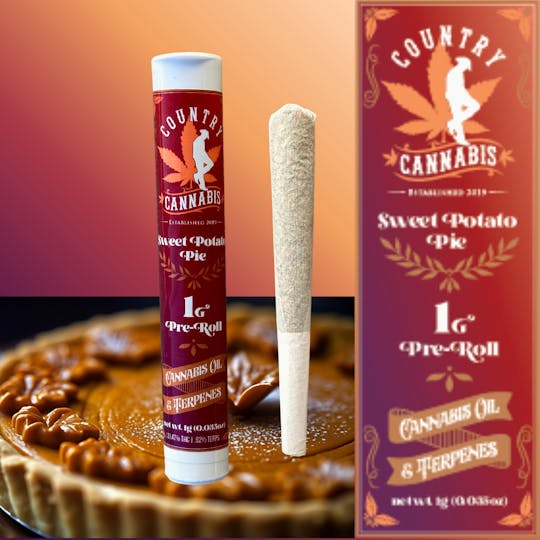 Country Cannabis - Sweet Potato Pie | Infused Preroll | 1G - 1