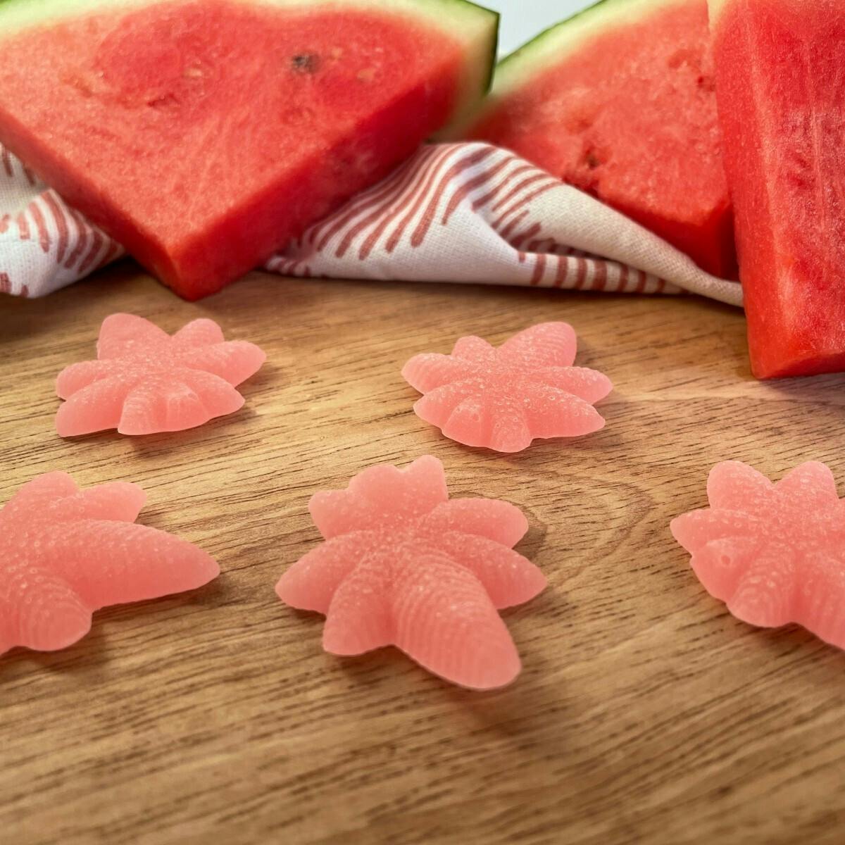 MoMo's Bakery - Watermelon Sativa Boingos | 10pk | 100mg total - 1