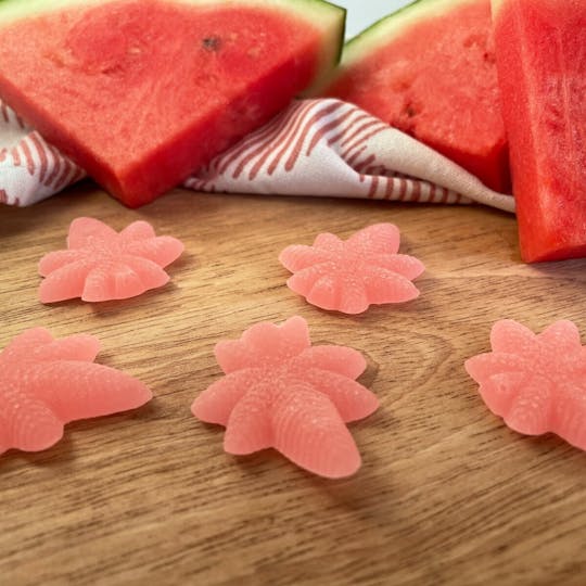 MoMo's Bakery - Watermelon Sativa Boingos | 10pk | 100mg total - 1