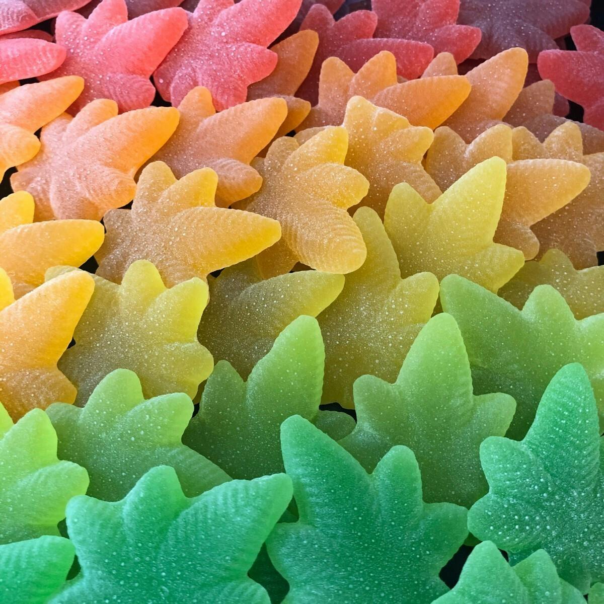 MoMo's Bakery - Pineapple Sativa Boingos | 10pk | 100mg total - 1