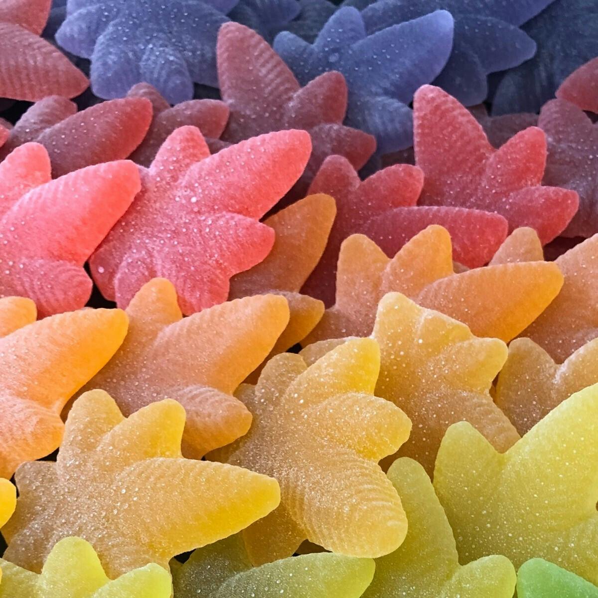 MoMo's Bakery - Lemonade Variety Sativa Boingos | 10pk | 100mg total - 1