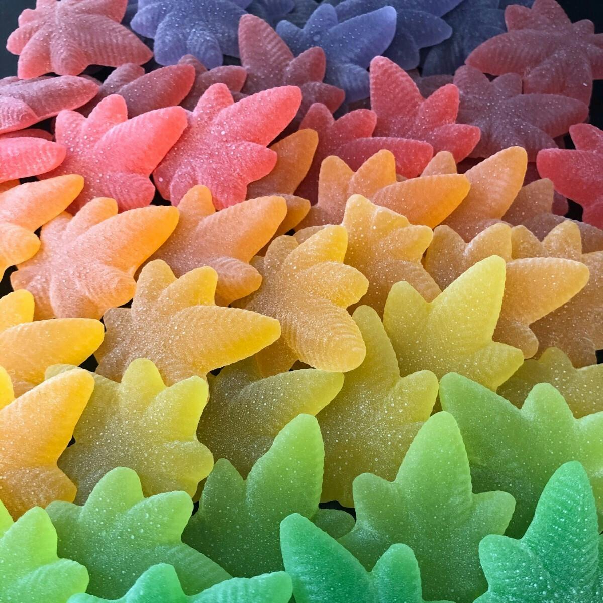 MoMo's Bakery - Aurora Borealis Variety Indica Boingos | 10pk | 100mg total - 1