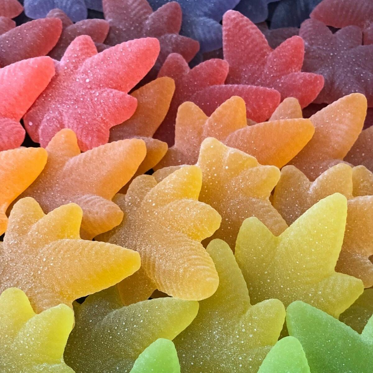 MoMo's Bakery - Alpenglow Variety Sativa Boingos | 10pk | 100mg total - 1