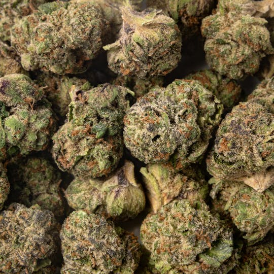 Time Machine - Blue Z Hybrid (3.5g) - 1