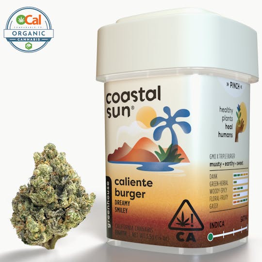 Coastal Sun - Caliente Burger Greenhouse Flower 3.5g - 1