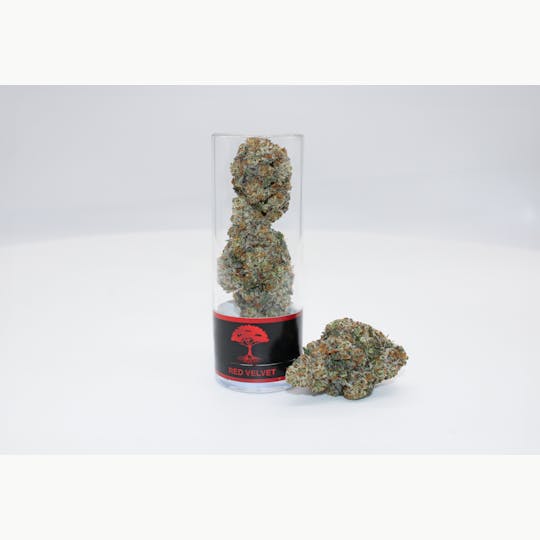 Blue Roots Cannabis - Blue Roots Cannabis Co | Red Velvet Indoor Flower (Hybrid) - 1