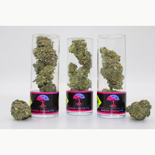 Blue Roots Cannabis - Blue Roots Cannabis Co | Sherb Cream Pie Indoor Flower (Hybrid) - 1