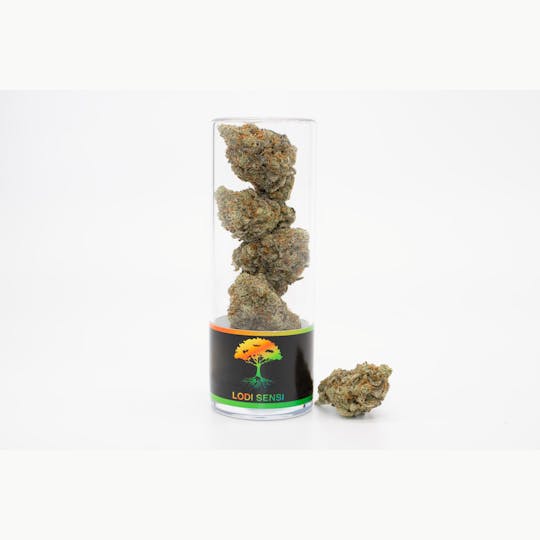 Blue Roots Cannabis - Blue Roots Cannabis Co | Lodi Sensi Indoor Flower (Hybrid) - 1