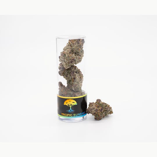 Blue Roots Cannabis - Blue Roots Cannabis Co | Tropic Sundea Indoor Flower (Hybrid) - 1