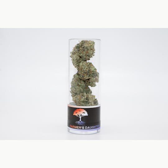 Blue Roots Cannabis - Blue Roots Cannabis Co | Farmer's Daughter Indoor Flower (Hybrid) - 1