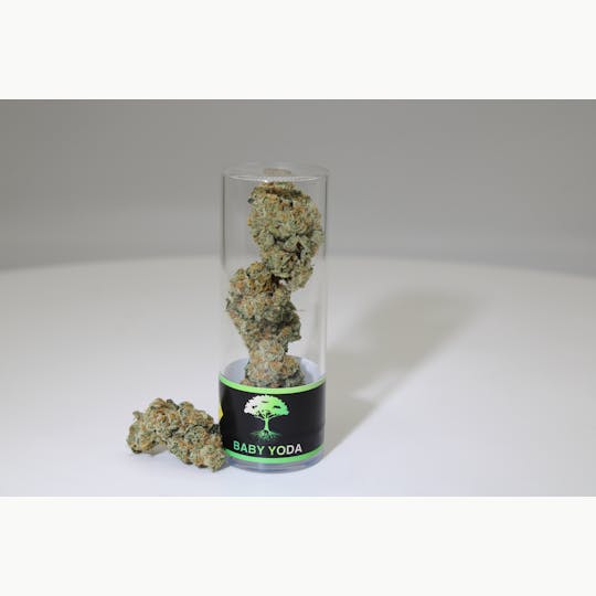Blue Roots Cannabis - Blue Roots Cannabis Co | Baby Yoda Indoor Flower (Hybrid) - 1