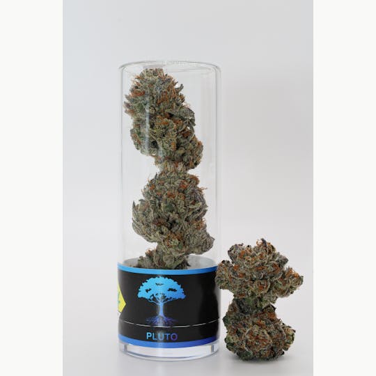 Blue Roots Cannabis - Blue Roots Cannabis Co | Pluto Indoor Flower (Indica) - 1