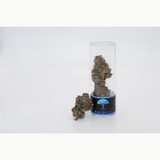 Blue Roots Cannabis - Blue Roots Cannabis Co | Blue Limonene Indoor Flower (Hybrid) - 1