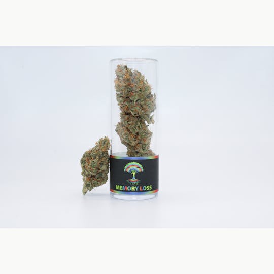 Blue Roots Cannabis - Blue Roots Cannabis Co | Memory Loss Indoor Flower (Sativa) - 1