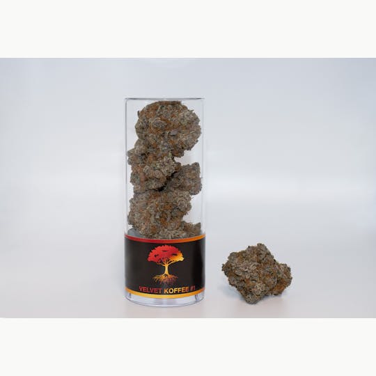 Blue Roots Cannabis - Blue Roots Cannabis Co | Velvet Koffee Indoor Flower (Indica) - 1