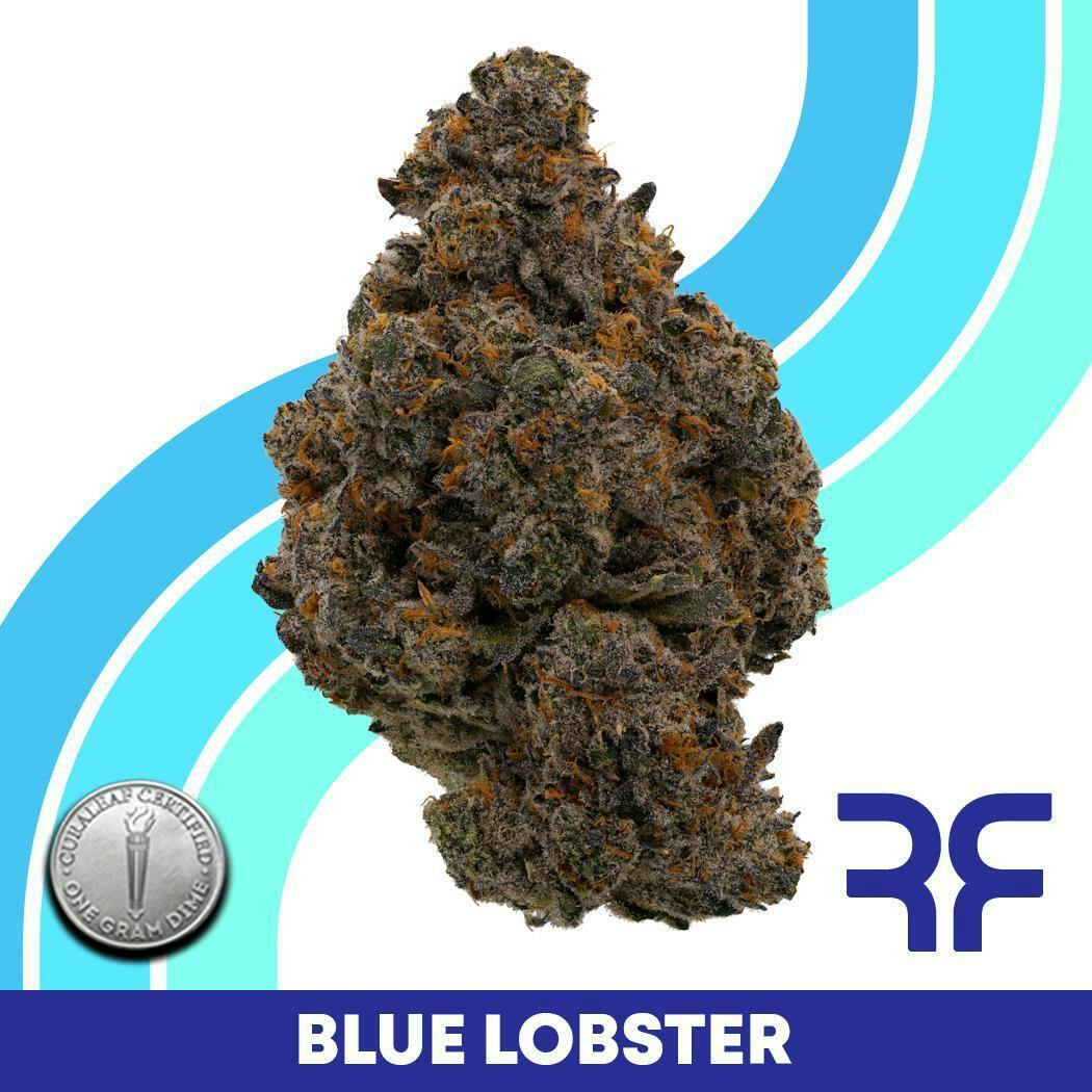 REEF Cannabis - Blue Lobster Whole Flower - 1