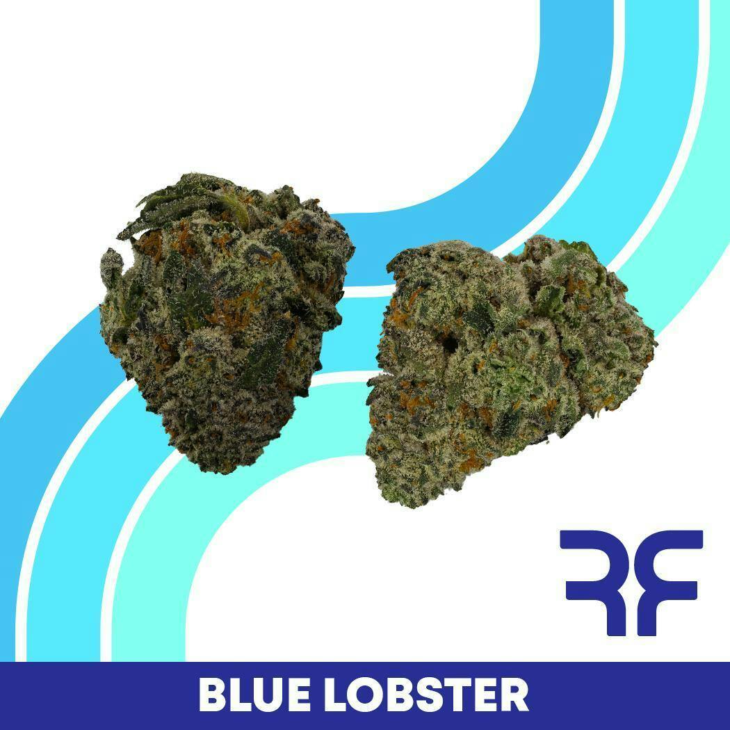 REEF Cannabis - Blue Lobster Small Buds - 1